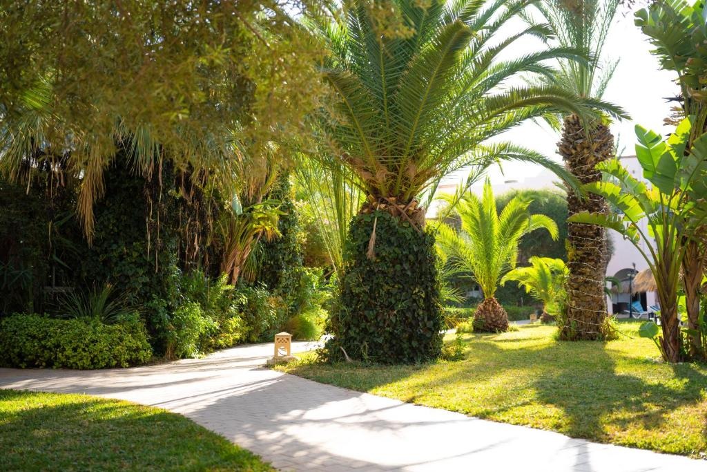 هتل ادن یاسمین ریزورت